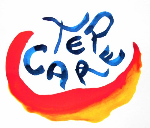 logo-tepcare-janvier-2021-500x427